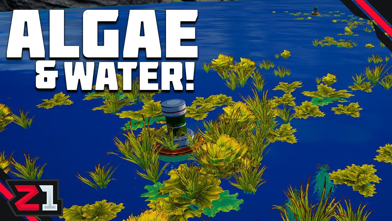 Water And Algae Generation!