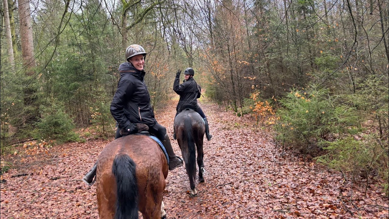 Buitenrit in de regen! Met de go pro gefilmd &hearts;️ Manege Knollegrunn in Schoonloo #buitenrit #horses  