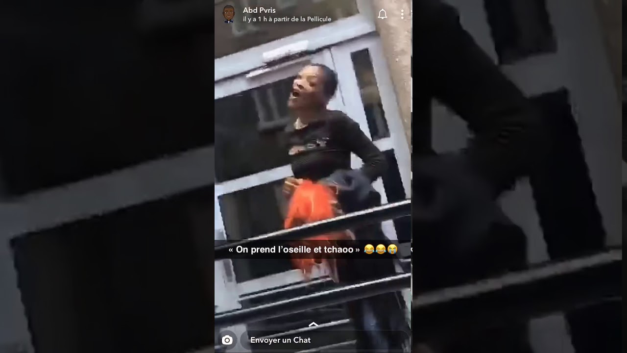 SNAP : Davinhor vole la perruque de Bulma