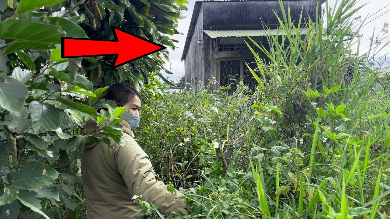 Single Mom Astounded as We Renovate and Clean Her Overgrown Home for Free!