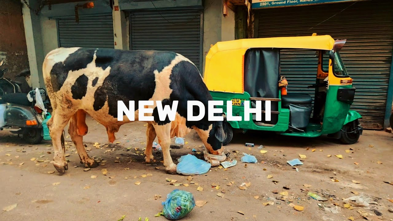 Walking Through the Side of Delhi Most Tourists Avoid #delhi #delhivlog #travel 