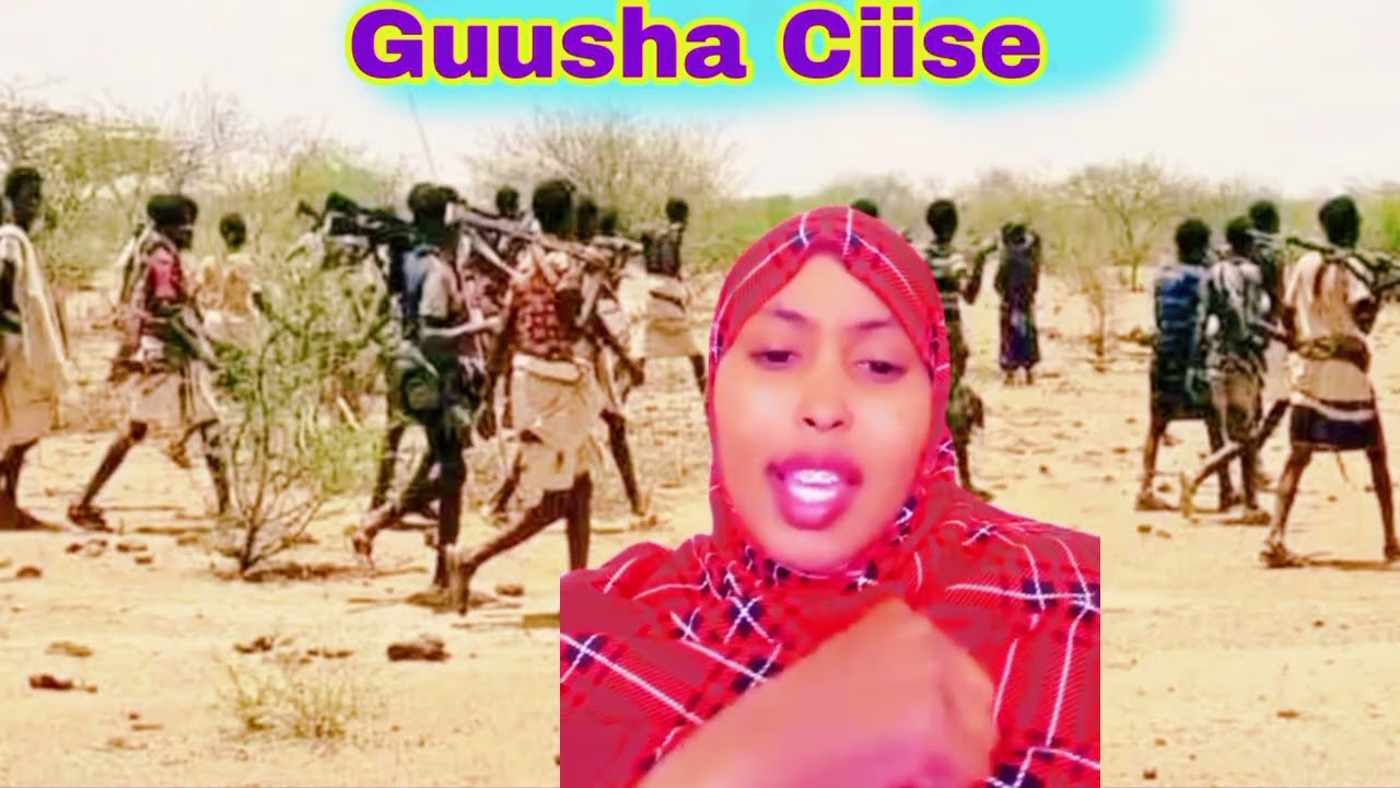 Guul iyo Gobonimo Tolkey Ciise wayne 💪💪