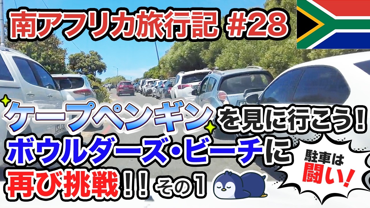 【南アフリカ編28編】ケープペンギンを見に行こう！ボウルダーズ・ビーチに再び挑戦！！その１ #ひとり旅 #南アフリカ #ペンギン