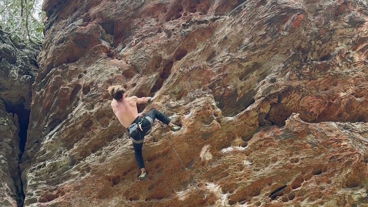 Stunning the Hog (5.12d) - Red River Gorge