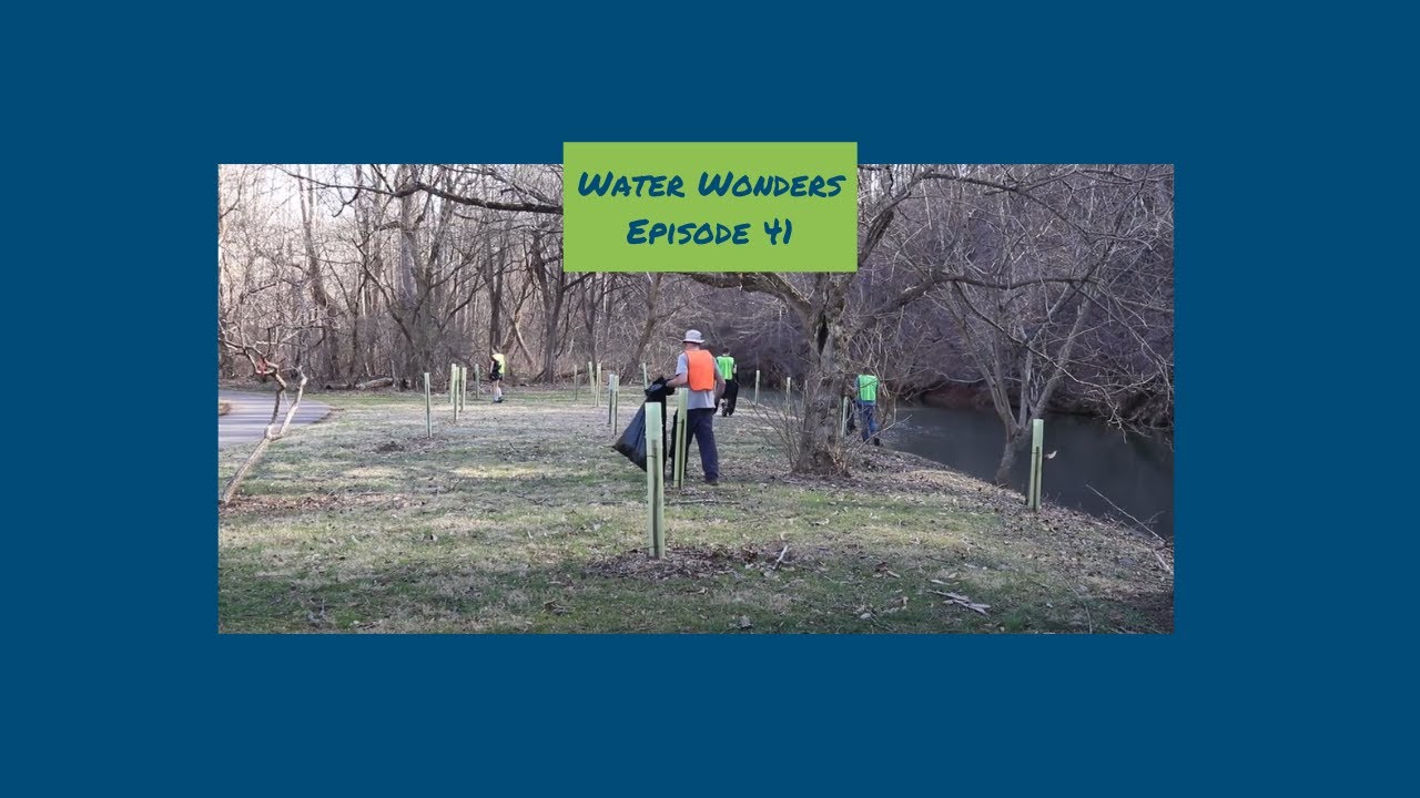 A New Water Lilly (Water Wonders, Episode 41)