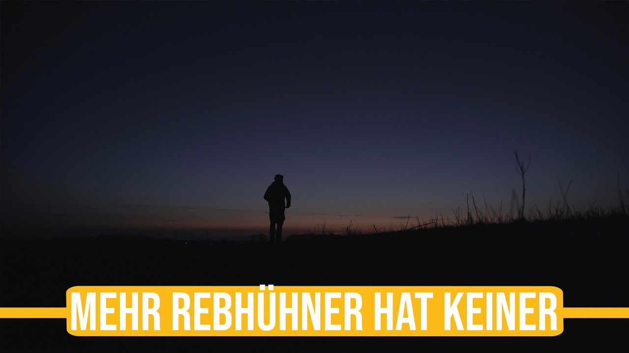 Niederwildtestrevier | Deutschlandweit die meisten Rebh&uuml;hner - Paul ist voll in seinem Element!