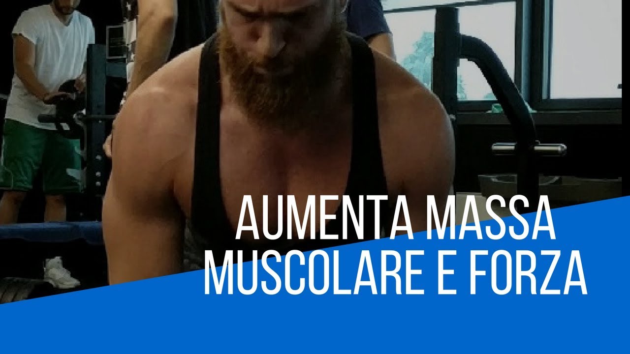 Scheda Forza e Massa Muscolare per Powerlifting e BodyBuilding  💪 | Teoria 🤓
