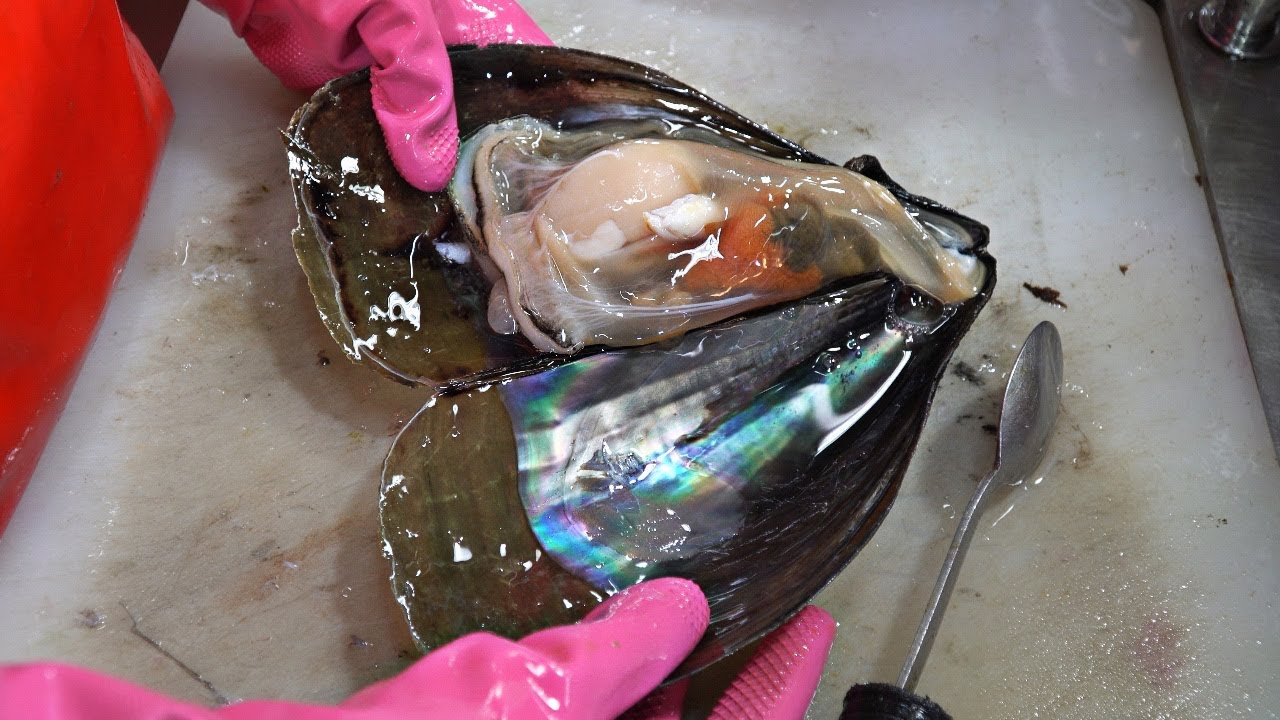 Korean Fish Market - Giant Mussels | Pen Shell