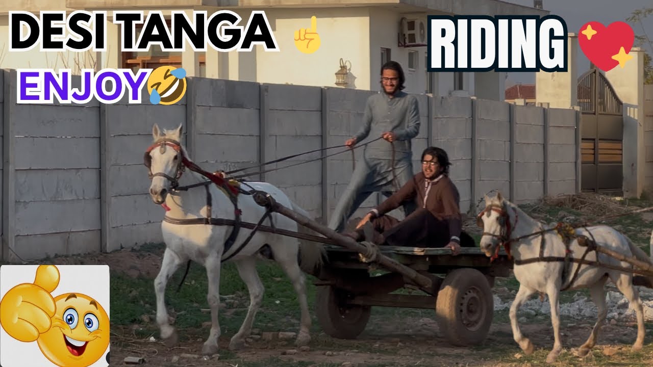 New desi Tangay ki Sawari ki 🙌 || Bhut maza aya 😎 || #horse #tanga #ride #pakistan 