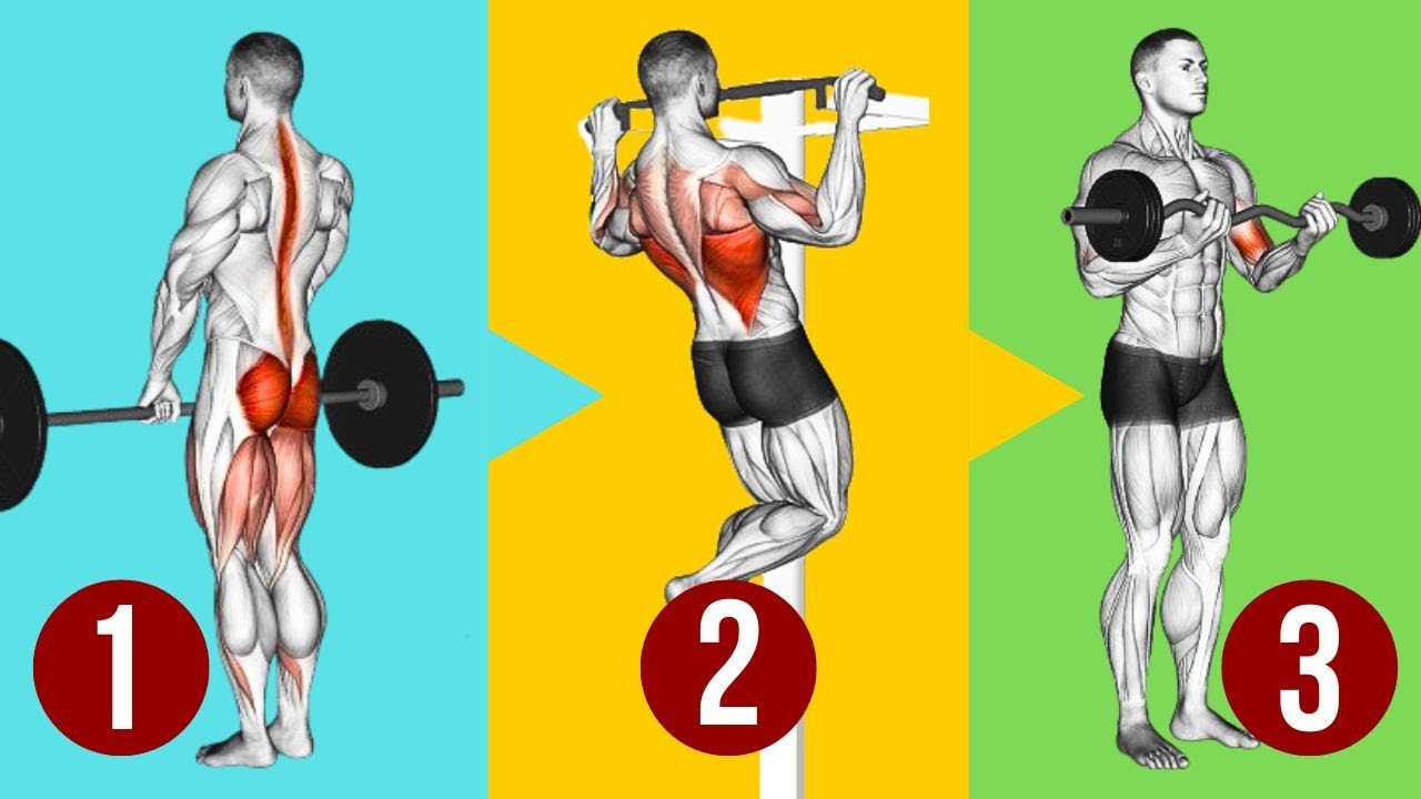 Hypertrophy Training for Beginners. EXERCISE ORDER To Build More Muscle