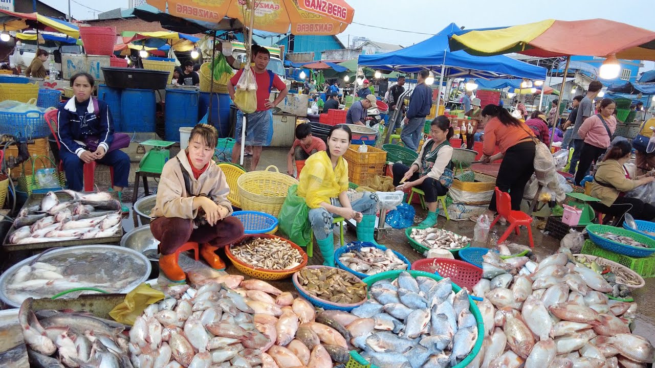 Amazing Fish Distribution Market | Live Fish, Fresh Fish, Seafood, Lobster & More