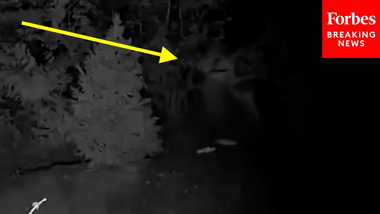 JUST IN: Escaped Murderer Caught On Security Camera Two Days After Breaking Out Of Prison