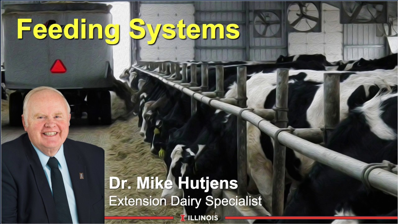 Feeding Systems
