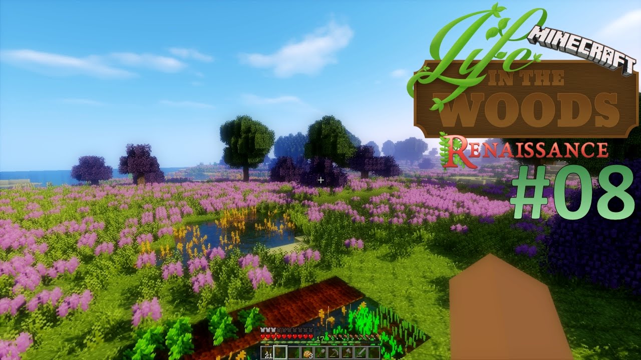 LIFE IN THE WOODS #08 - Feld &uuml;ber Feld und ein Tor ☼ Let's Play LitW [HD]