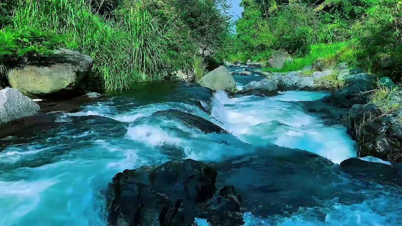Mountain Stream Water Flow Audio, Forest River, Sleep