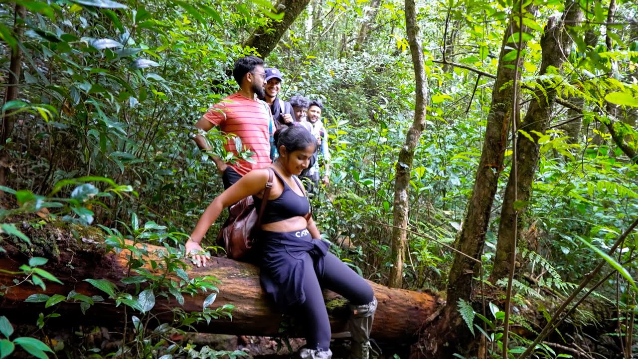 ජීවිතේ ගිය අමාරුම ගමන 😢 - KMP වාඩිය 🏡 - Knuckles mountain range 🌄