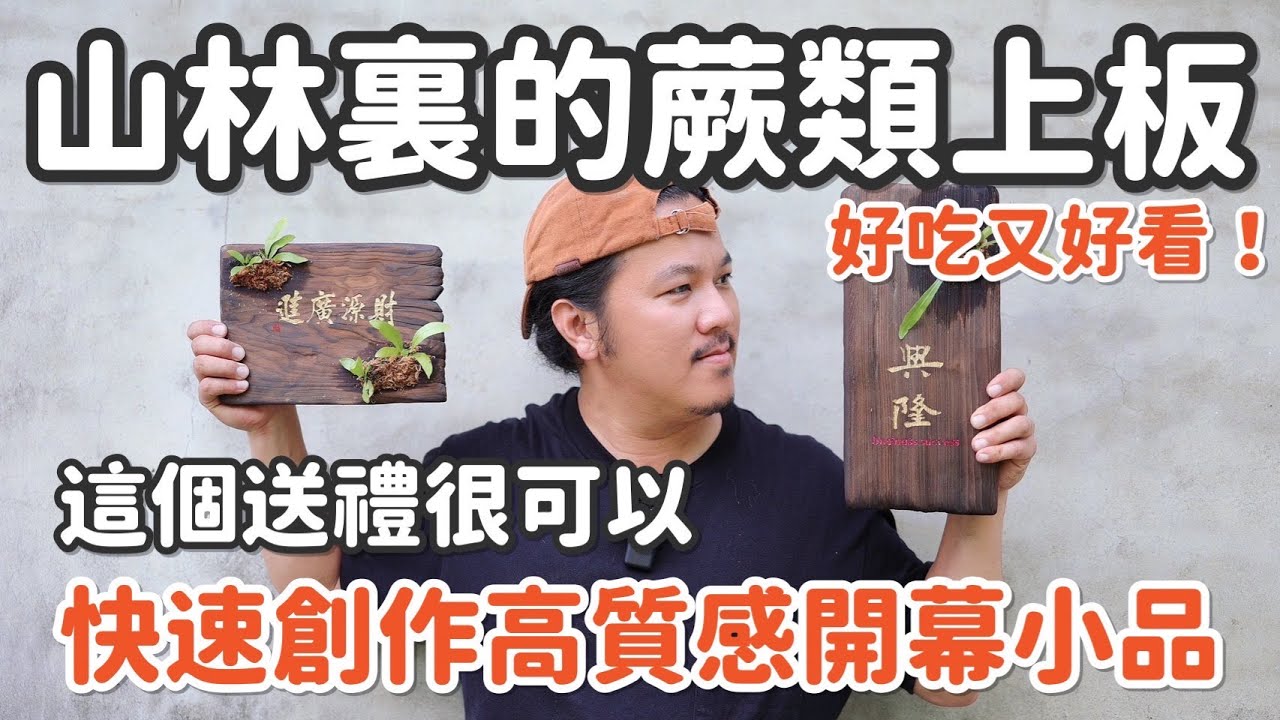 這個比鹿角蕨上板還猛 | 能吃又好看 | 山蘇上板 | 鹿角山蘇 | 來自山林的創作 | 開幕盆栽 | 開幕花禮 | 小品植物 | 室內觀葉植物 | 居家植物 | 三小日常EP34