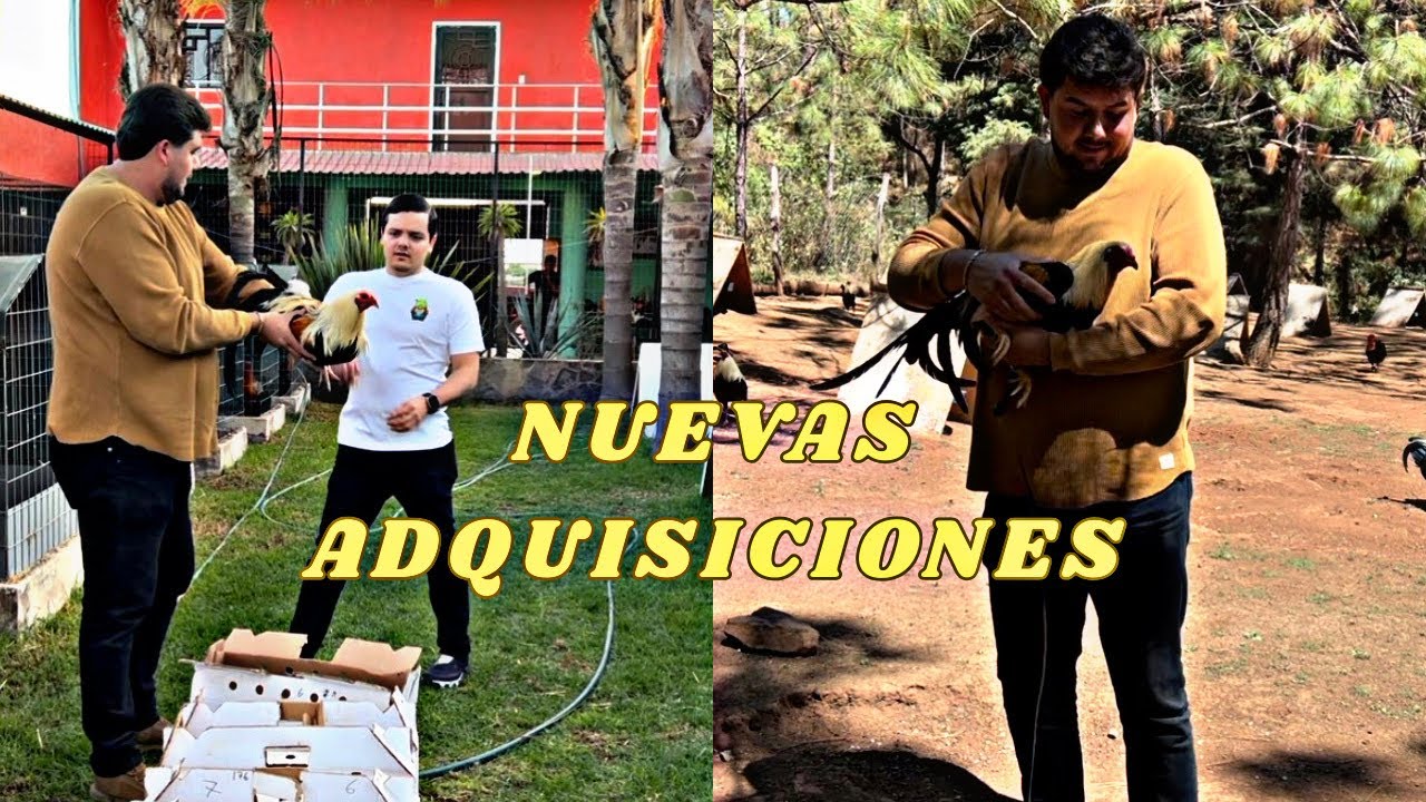 SORPRENDIENDO AL KC CON ESTE REGALO |ÑIKI|