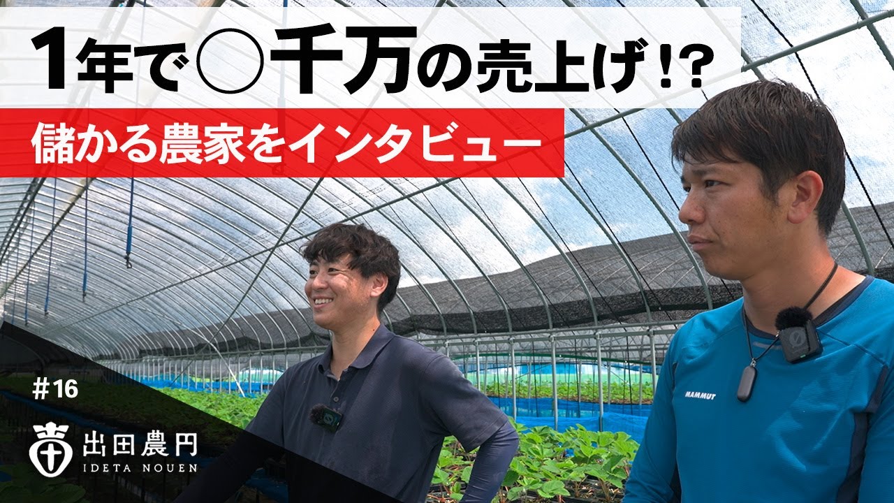 1年で○千万の売上げ⁉︎就農2年目の儲かる農家さんにインタビュー！【イチゴ農家】【出田農園】【出田農円】