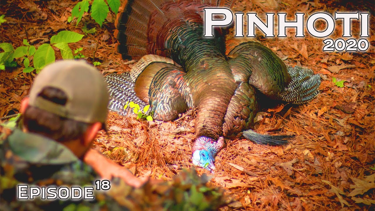 HUNTING a GEORGIA GOBBLER | TURKEY HUNTING | PUTTING the MOVES on a LONGBEARD- Pinhoti 2020