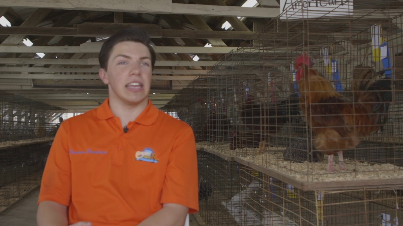 Putnam County Fair Chicken House | Cookeville, TN