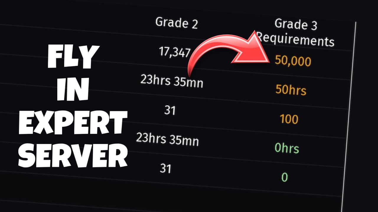 Fly in Expert Server in just 1 week | Tips for beginners | Infinite Flight Simulator