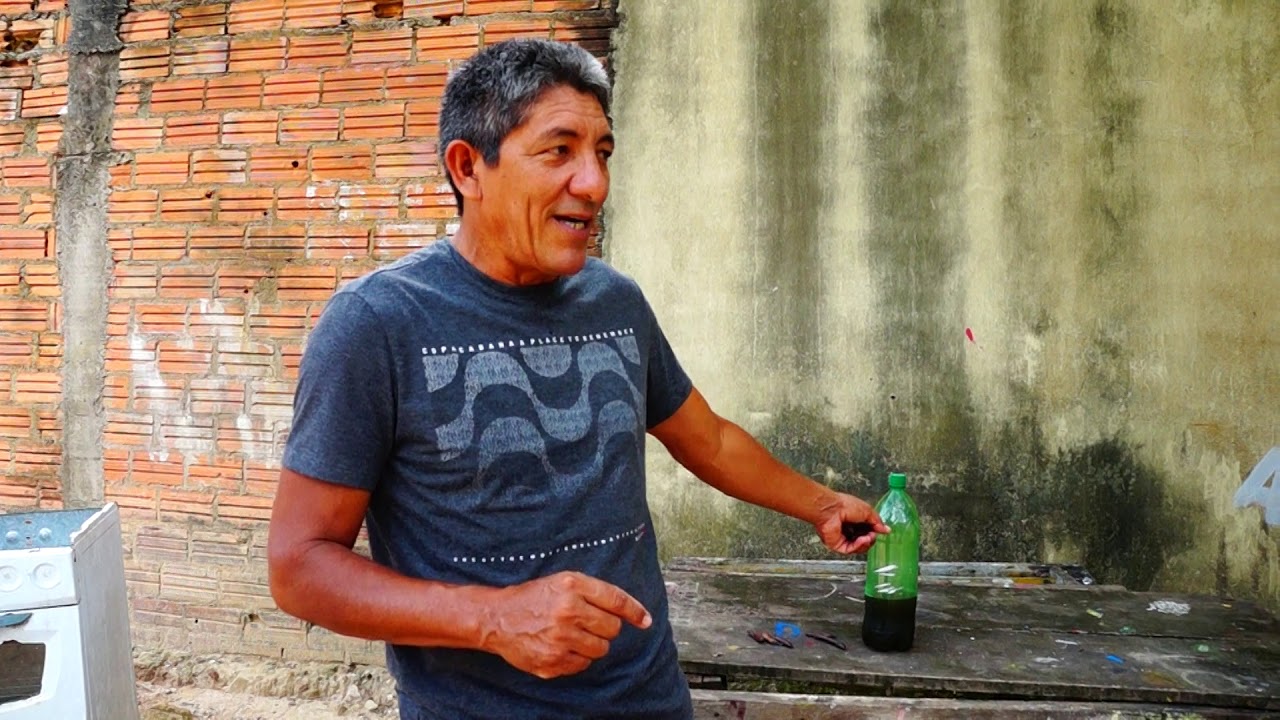 O PODER DE CURA DO JUCÁ