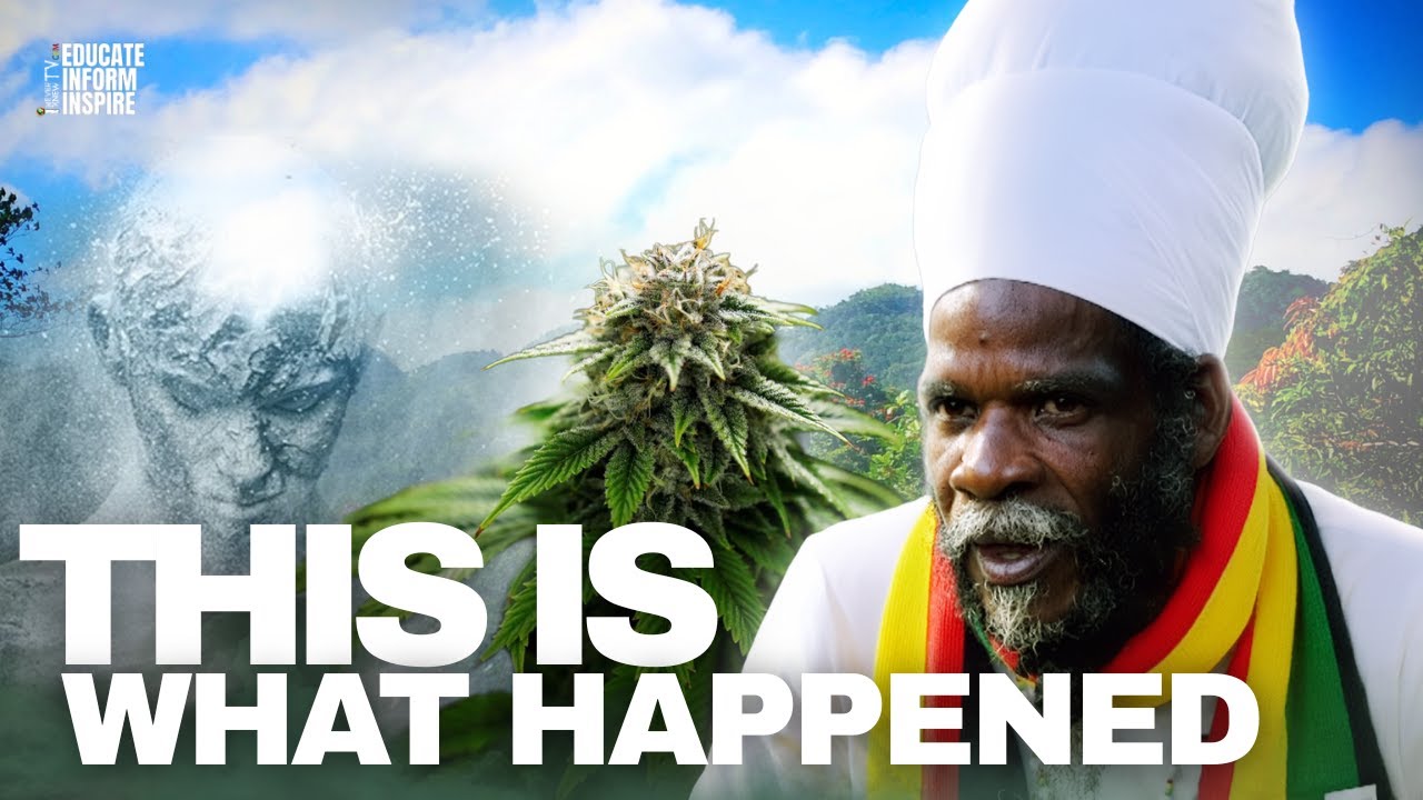 Master Grower Explains Why Weed Quality Dropped in Jamaica