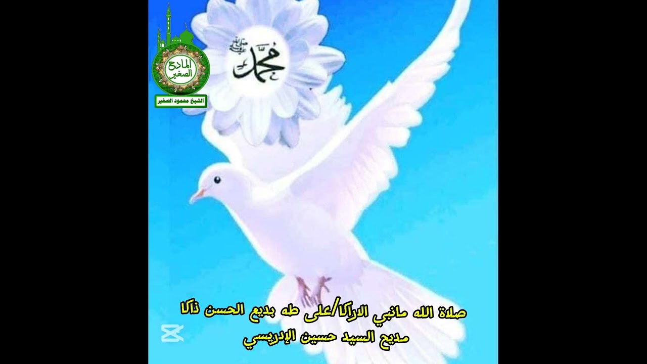 الإدريسي/ابن ادريس/الادارسة مديح السيد حسين الإدريسي/صلاة الله ما نبت الاراكا/على طه بديع الحسن ذاك