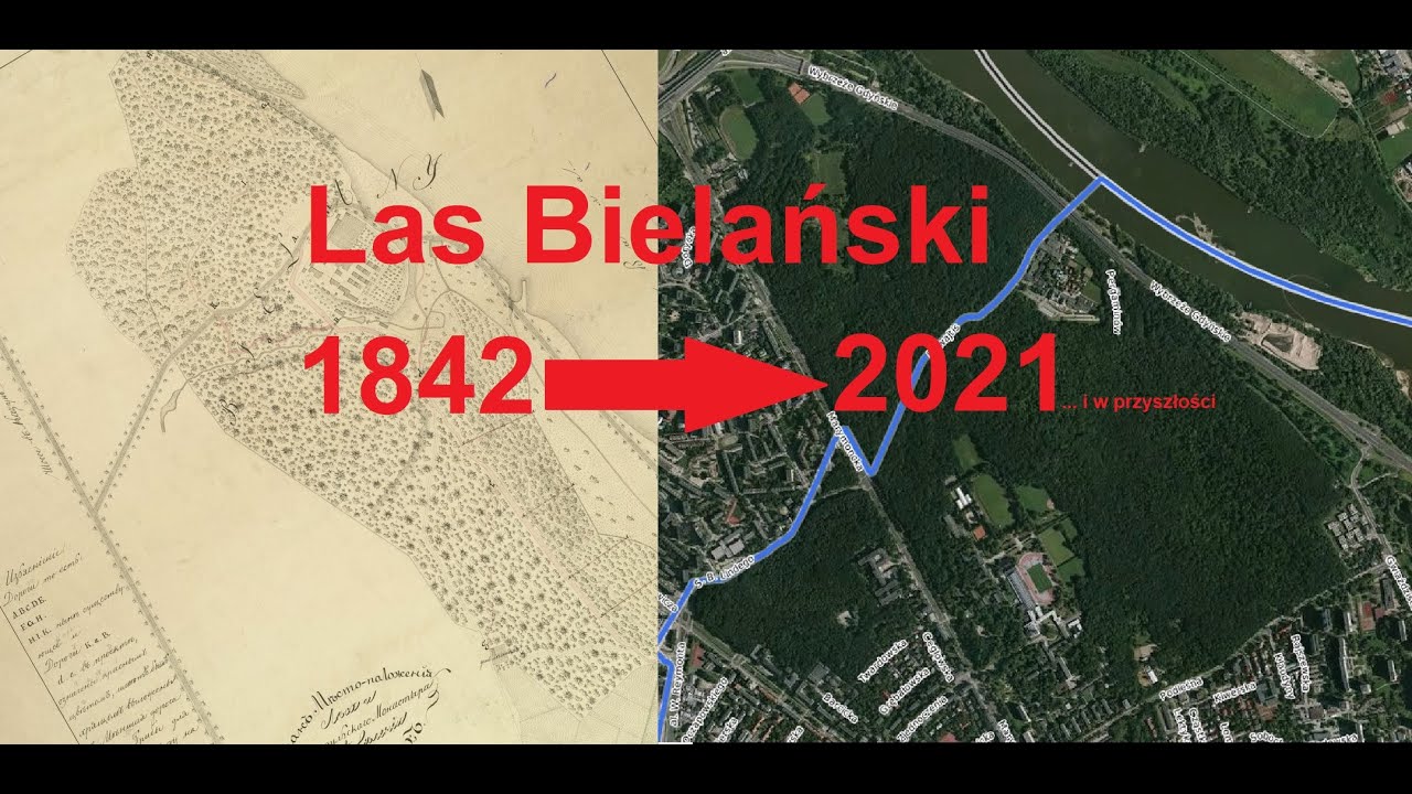 Co dzieje się w Lesie Bielańskim?