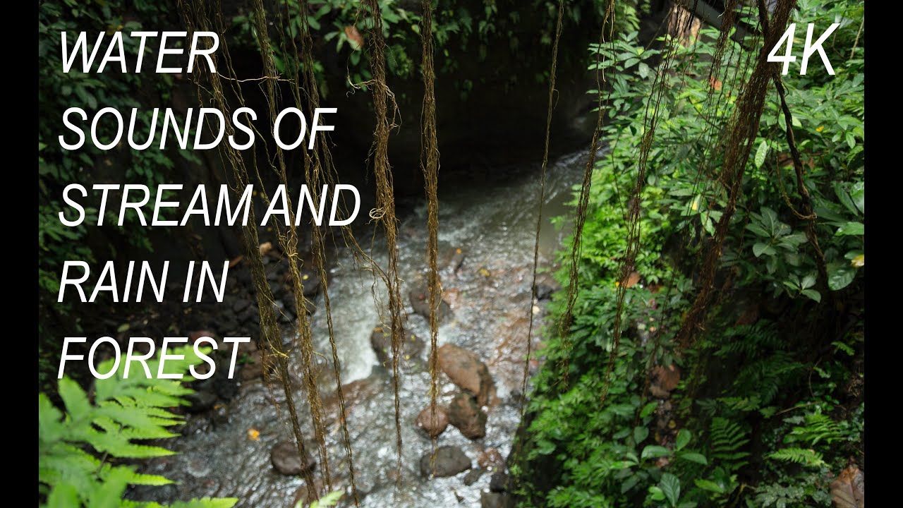 Rain sounds with stream in forest -  Sleep in 15 minutes
