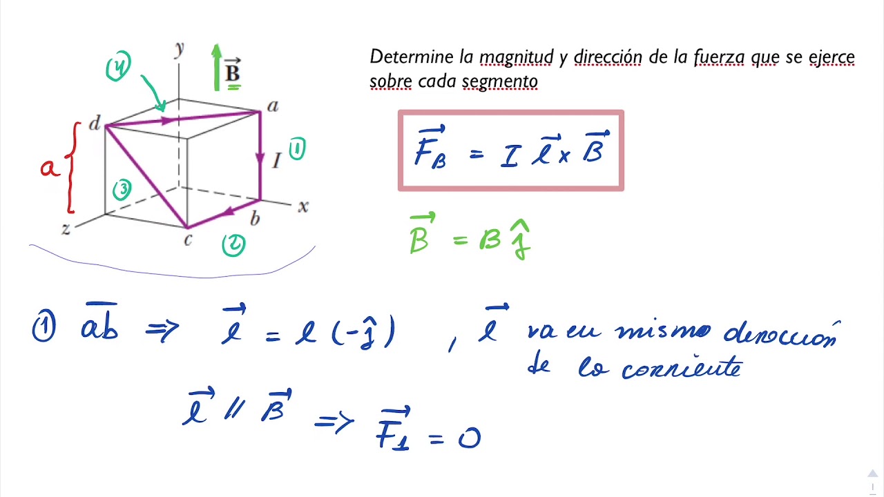 Problema de Fuerza Magnética sobre una Espira