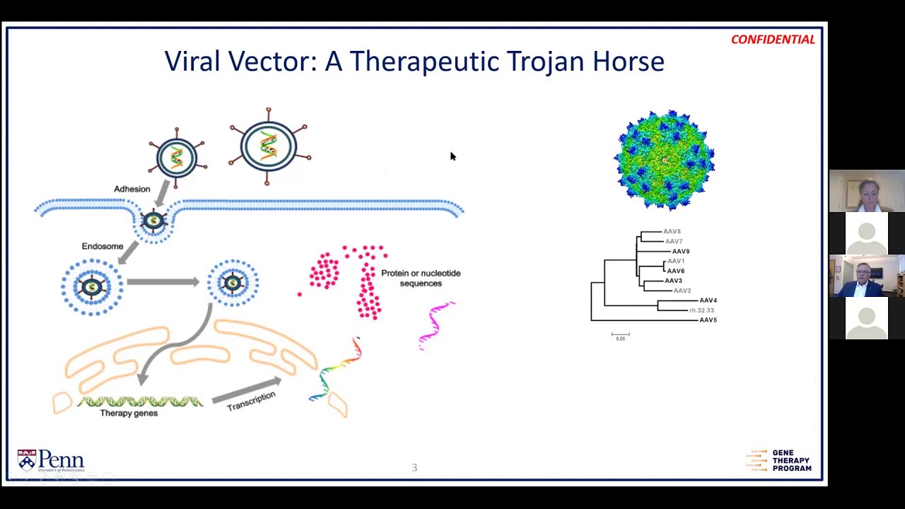 Ethical Challenges of Immunogenicity & Toxicity in Pediatric Gene Therapy Research
