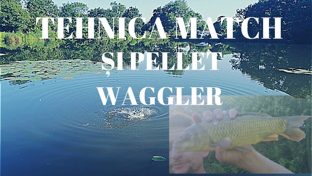 PESCUIT LA PLUTA MATCH SI PELLET WAGGLER