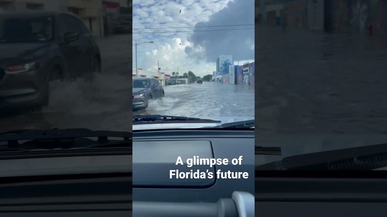 A glimpse of Florida&rsquo;s future #worldisburning #floods #floodedstreets