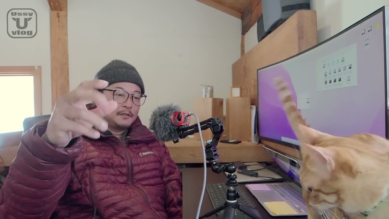 #345 orcaプチ解説