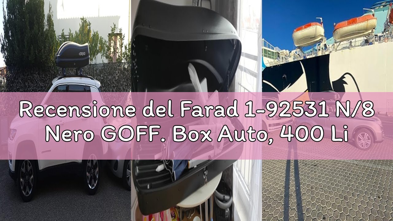 Recensione del Farad 1-92531 N/8 Nero GOFF. Box Auto, 400 Litri