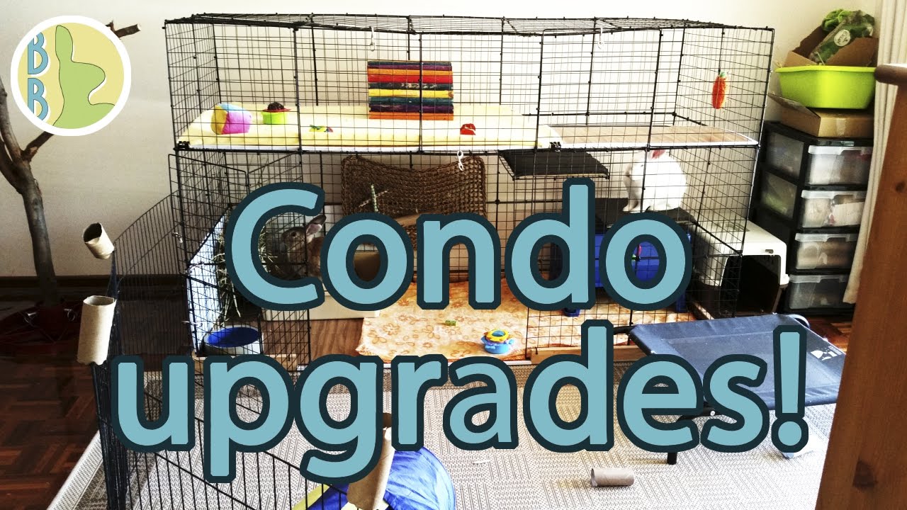 Upgrading the Rabbit Condo | DIY NIC Cage upgrade