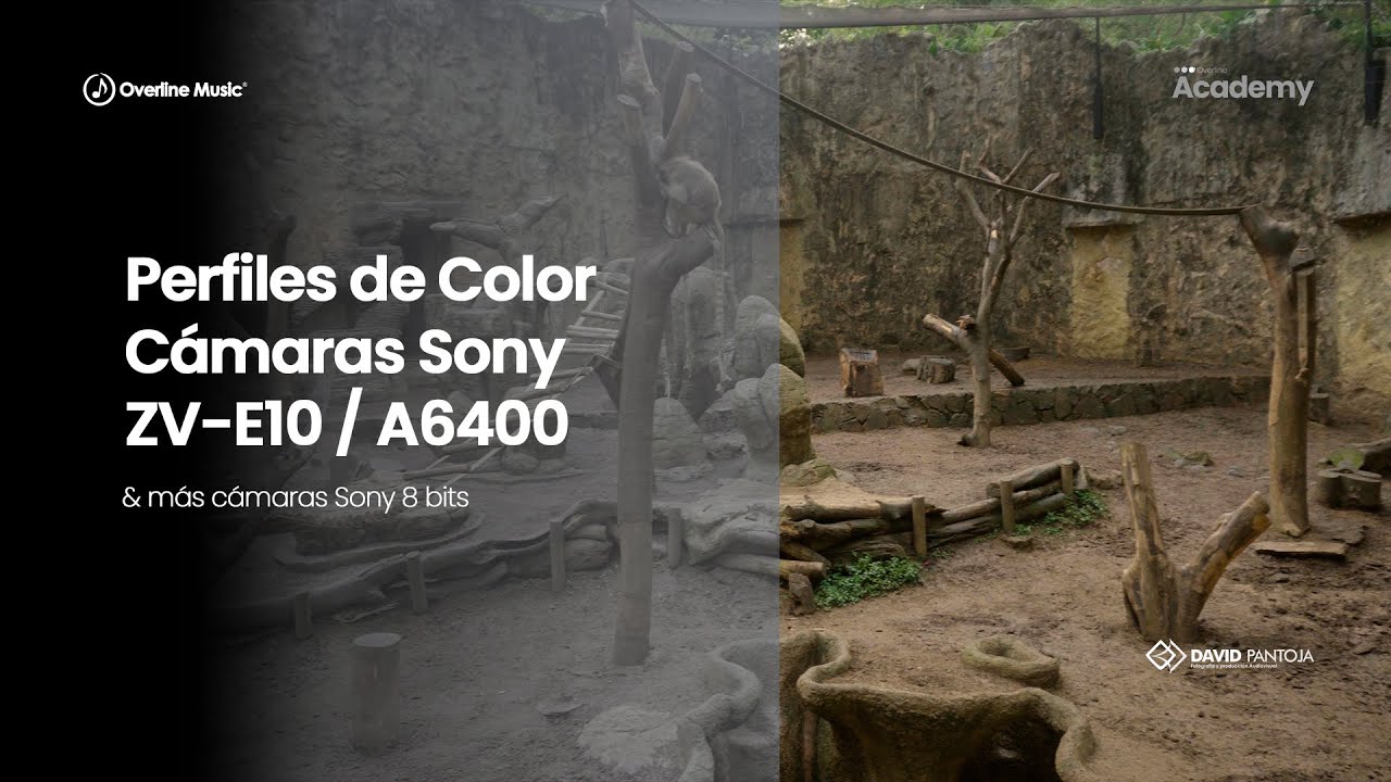 Perfiles de Color en cámaras Sony ZV-E10 A6400 A7III A6300 | 8Bits | Tutorial Overline Music