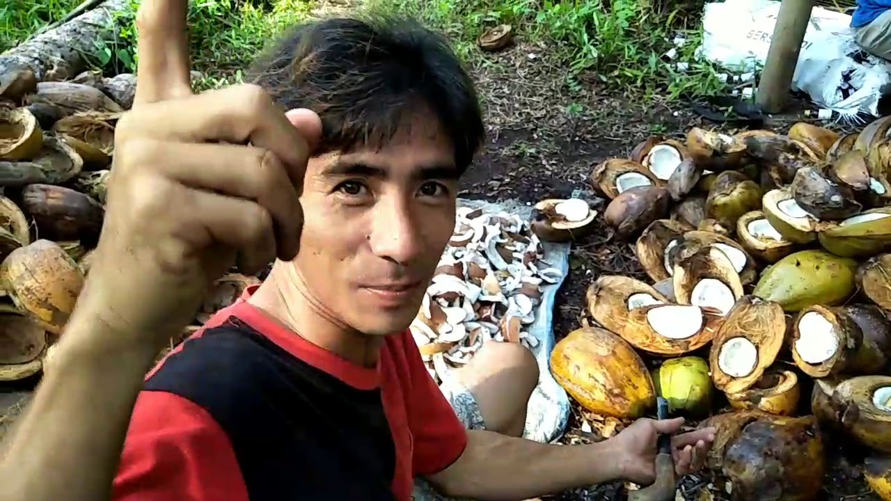 Cara Memanggang Kopra Terbaru 2020
