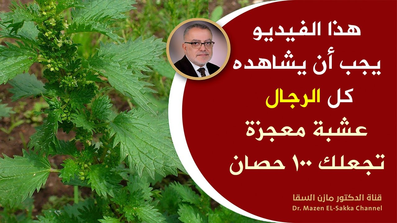 هذا الفيديو يجب أن يشاهده كل الرجال خصوبة أفضل بشكل طبيعي وبدون أدوية أفضل مادة تزيد قدرة الرجل حالا