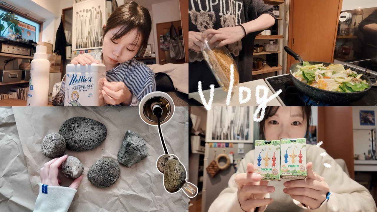 【vlog】2人暮らしの休日、ライト作り、購入品、ピクミンチョコエッグ開封