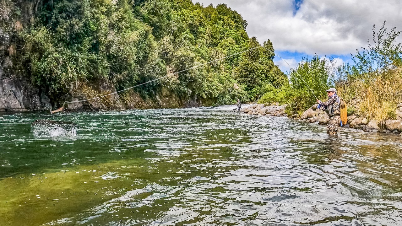 Amazing Trout Fishing in New Zealand's Backcountry