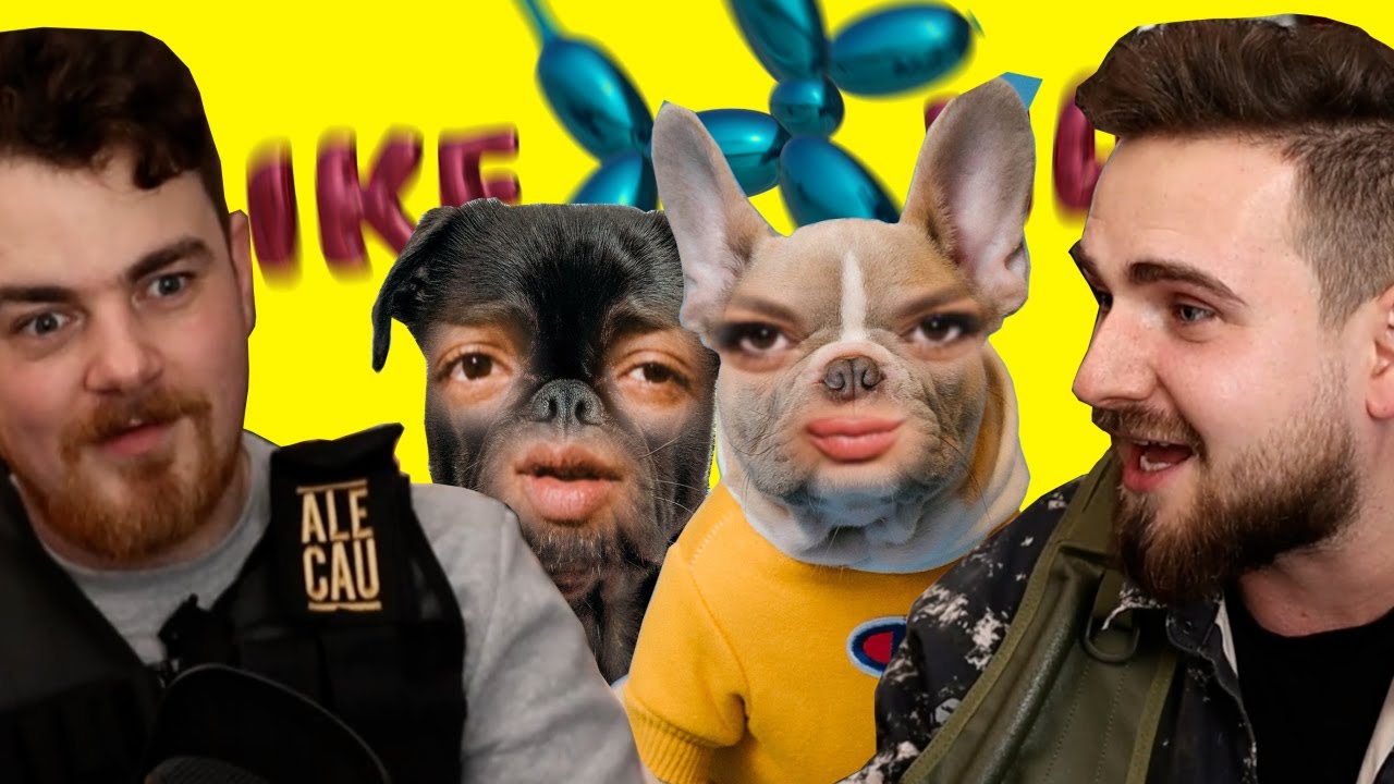 Koukáme se na pejsky v Like Hafu!
