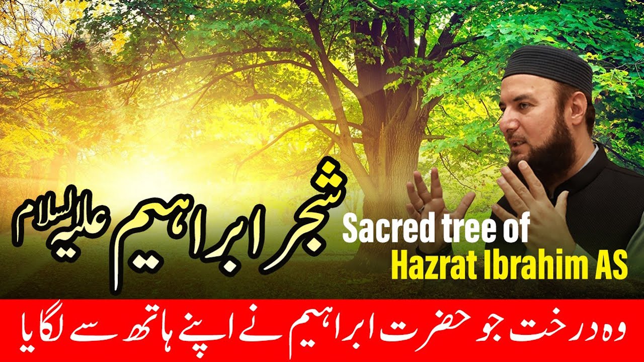 Sacred tree of Hazrat Ibrahim AS | Travel with Mufti Abdul Wahab