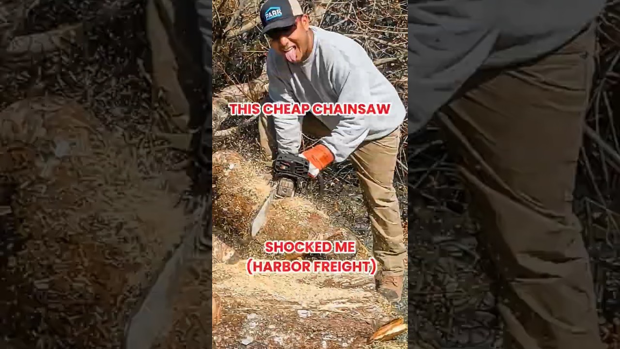 THIS CHEAP CHAINSAW SHOCKED ME (HARBOR FREIGHT)