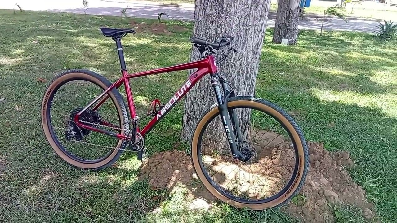 Absolute wild boost 