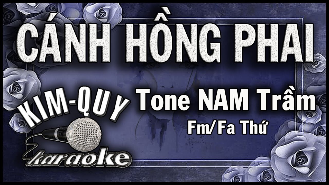 CÁNH HỒNG PHAI - KARAOKE - Tone NAM Trầm ( Fm/Fa Thứ )