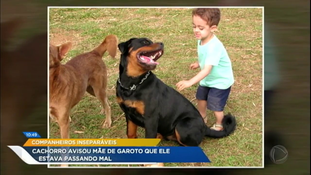 Garotinho autista é salvo por cão de estimação