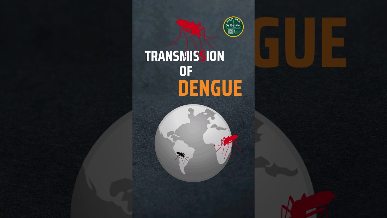 How is Dengue Spread?